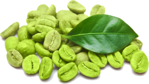 Green-Coffee-Bean